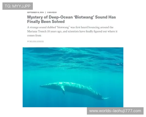 深海动物的研究现状：科学家们如何探索深海生物的奥秘