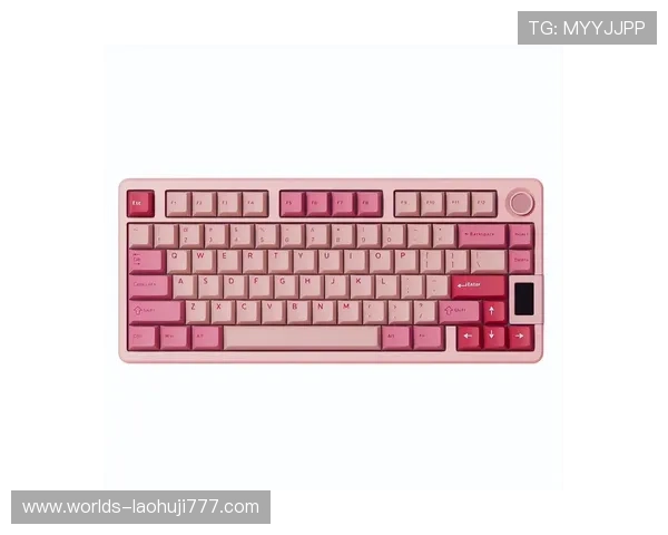 在ttc键盘官网购买的机械键盘如何进行日常维护与保养,延长使用寿命 在ttc键盘官网购买的机械键盘如何进行日常维护与保养,延长使用寿命